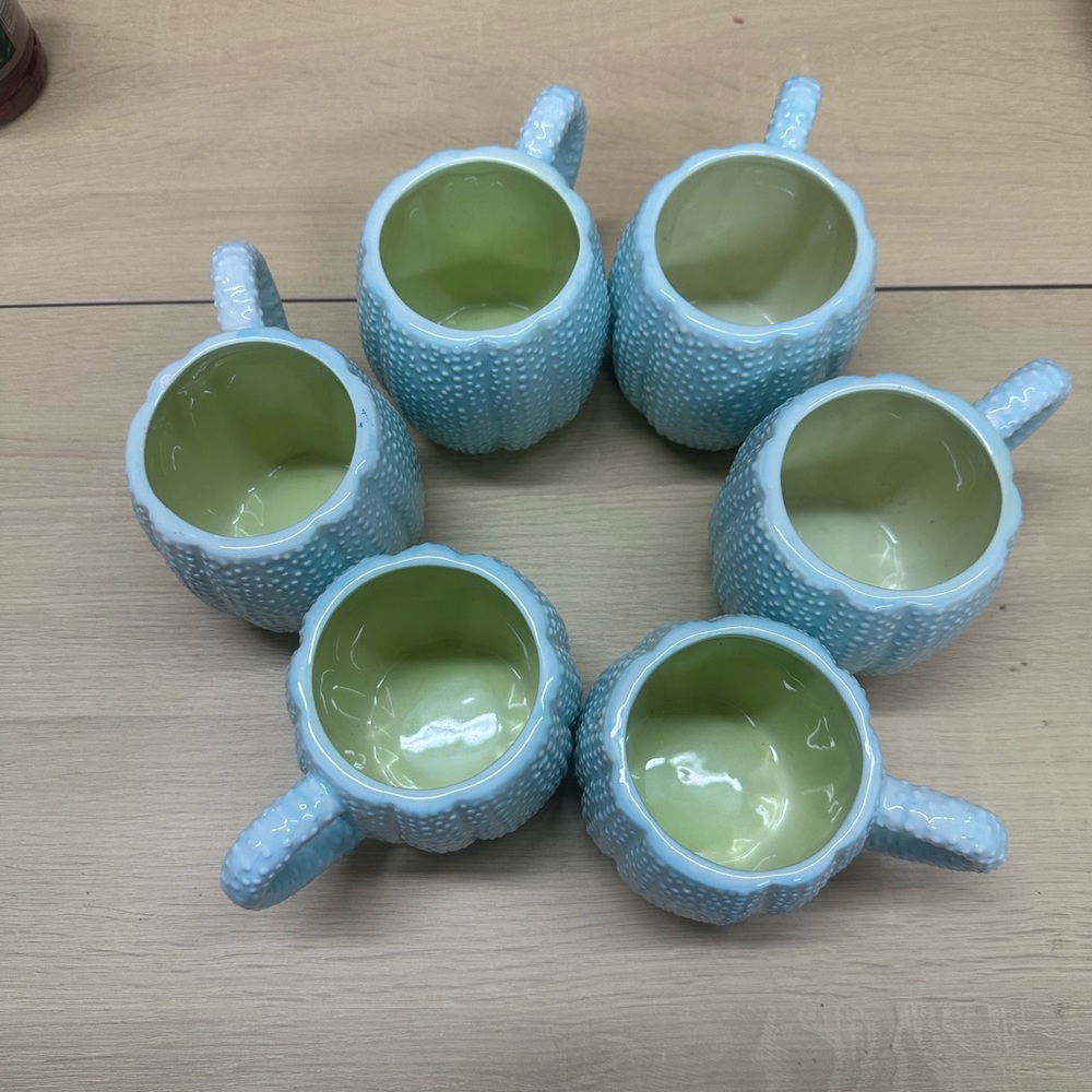 Kate Williams Sea Urchin Coffee Mug Cup by Global Design Mint Color Set of 6 EUC - Picture 2 of 8